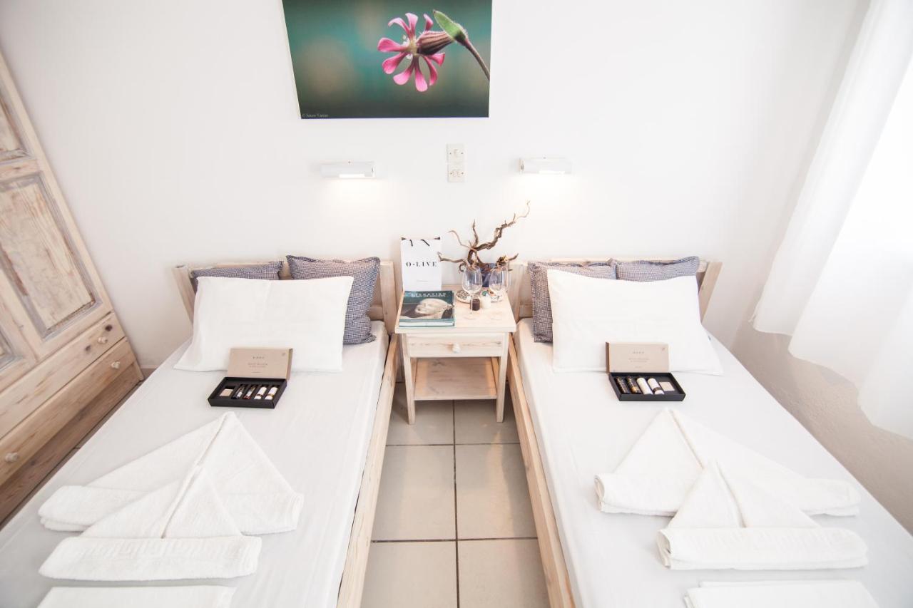 Alea Apartments ناوسا المظهر الخارجي الصورة